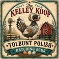 Tolbunt Polish Hatching Eggs