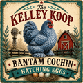 Bantam Cochin Hatching Eggs